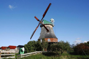 Dutch windmill in Neubukow, Neubukow